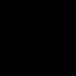 Meet your Posher, Ferdous